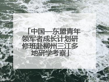 中国—东盟青年领军者成长计划研修班赴柳州三江多地研学考察